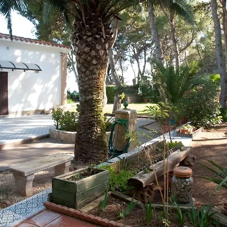 Sargantana Blava Sant Carles De La Rapita