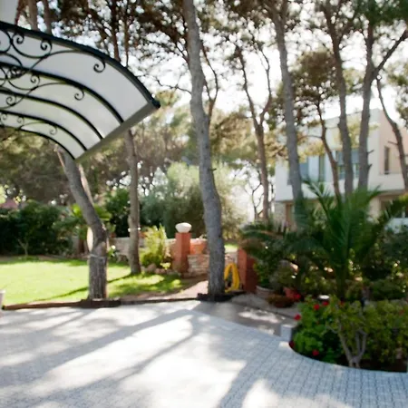 Sargantana Blava Sant Carles De La Rapita