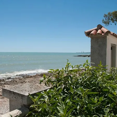 Sargantana Blava * Sant Carles De La Rapita