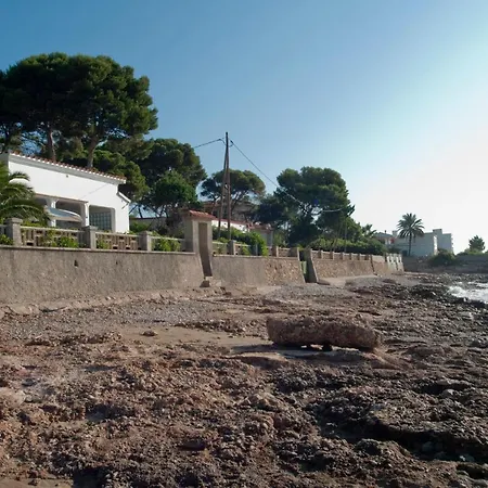 Sargantana Blava Sant Carlos de la Ràpita